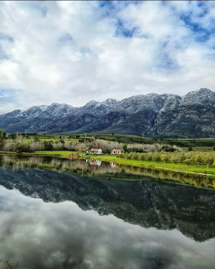 Fraaigelegen Farm - Home Of Adhara Evoo Tulbagh Εξωτερικό φωτογραφία