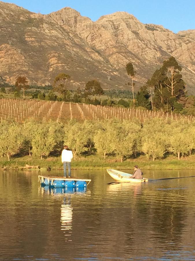 Fraaigelegen Farm - Home Of Adhara Evoo Tulbagh Εξωτερικό φωτογραφία