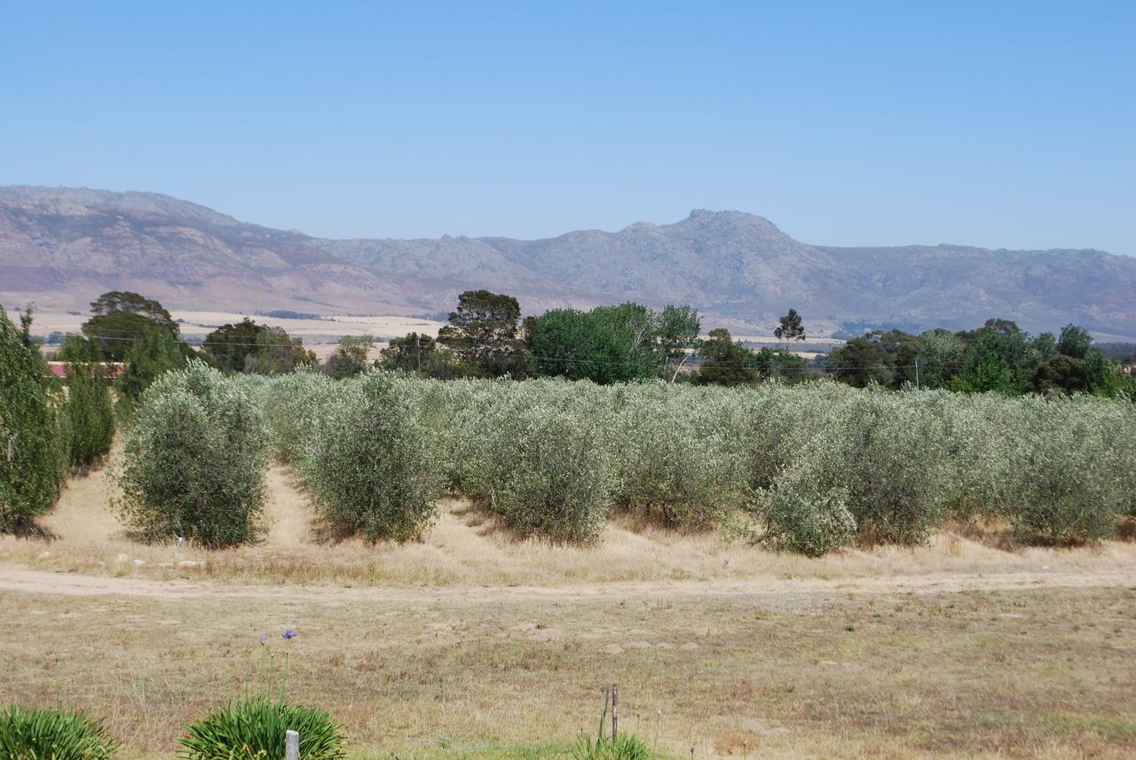 Fraaigelegen Farm - Home Of Adhara Evoo Tulbagh Εξωτερικό φωτογραφία