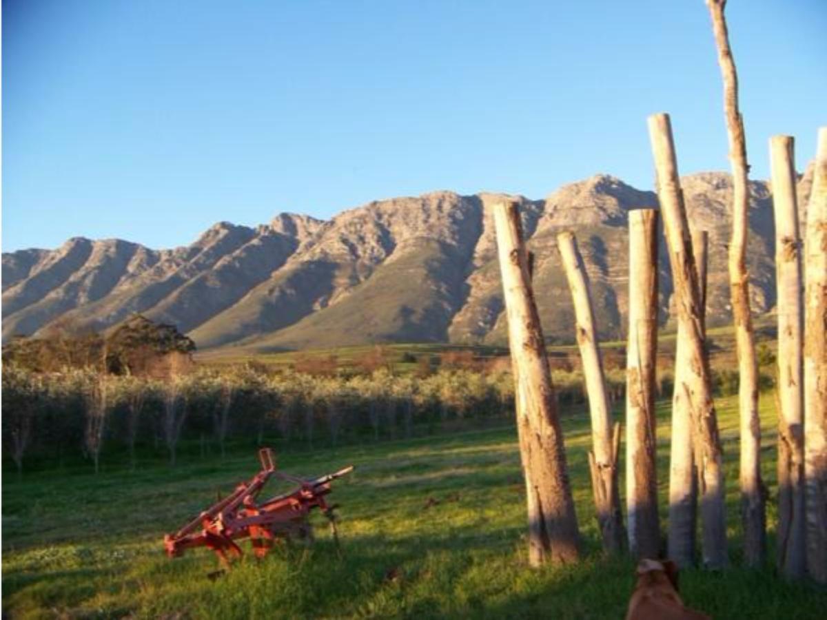 Fraaigelegen Farm - Home Of Adhara Evoo Tulbagh Εξωτερικό φωτογραφία