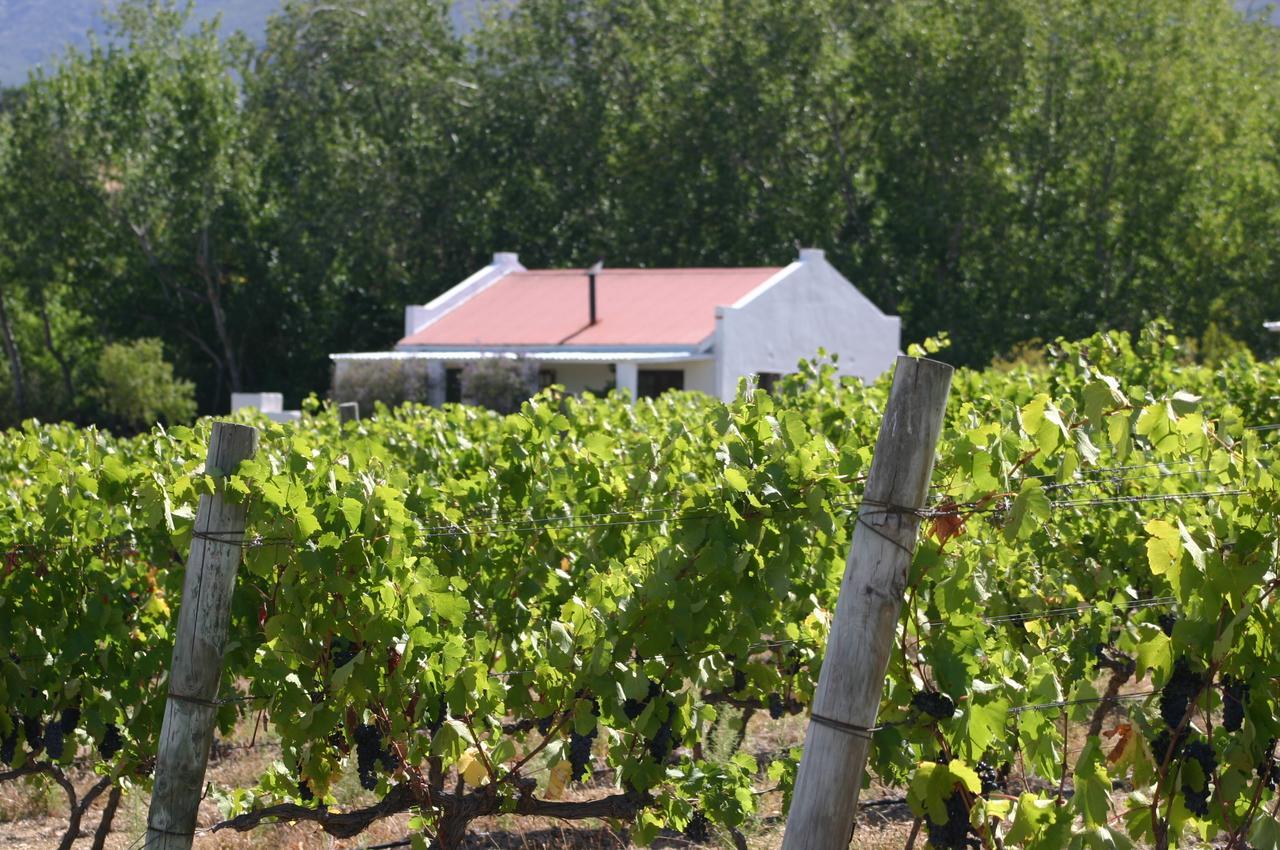 Fraaigelegen Farm - Home Of Adhara Evoo Tulbagh Εξωτερικό φωτογραφία