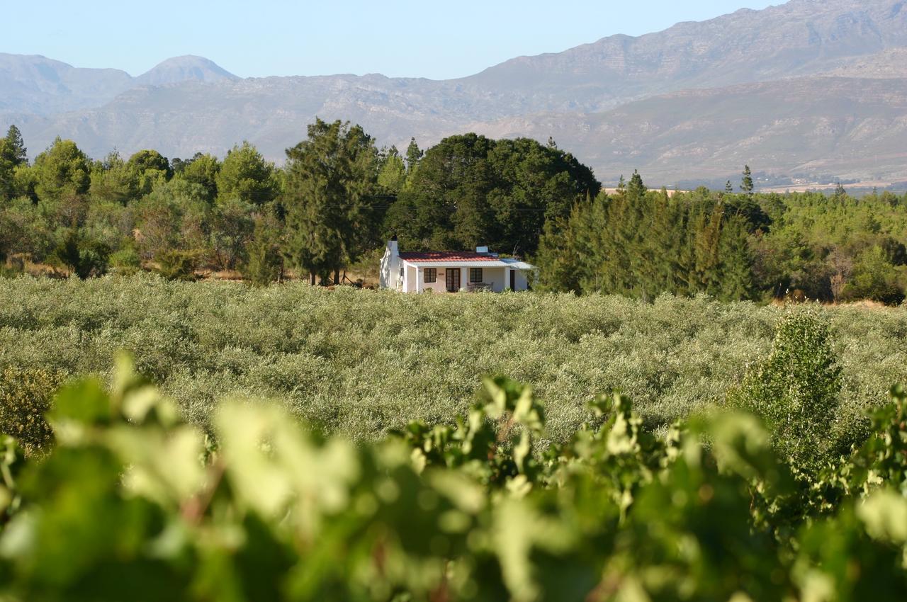 Fraaigelegen Farm - Home Of Adhara Evoo Tulbagh Εξωτερικό φωτογραφία