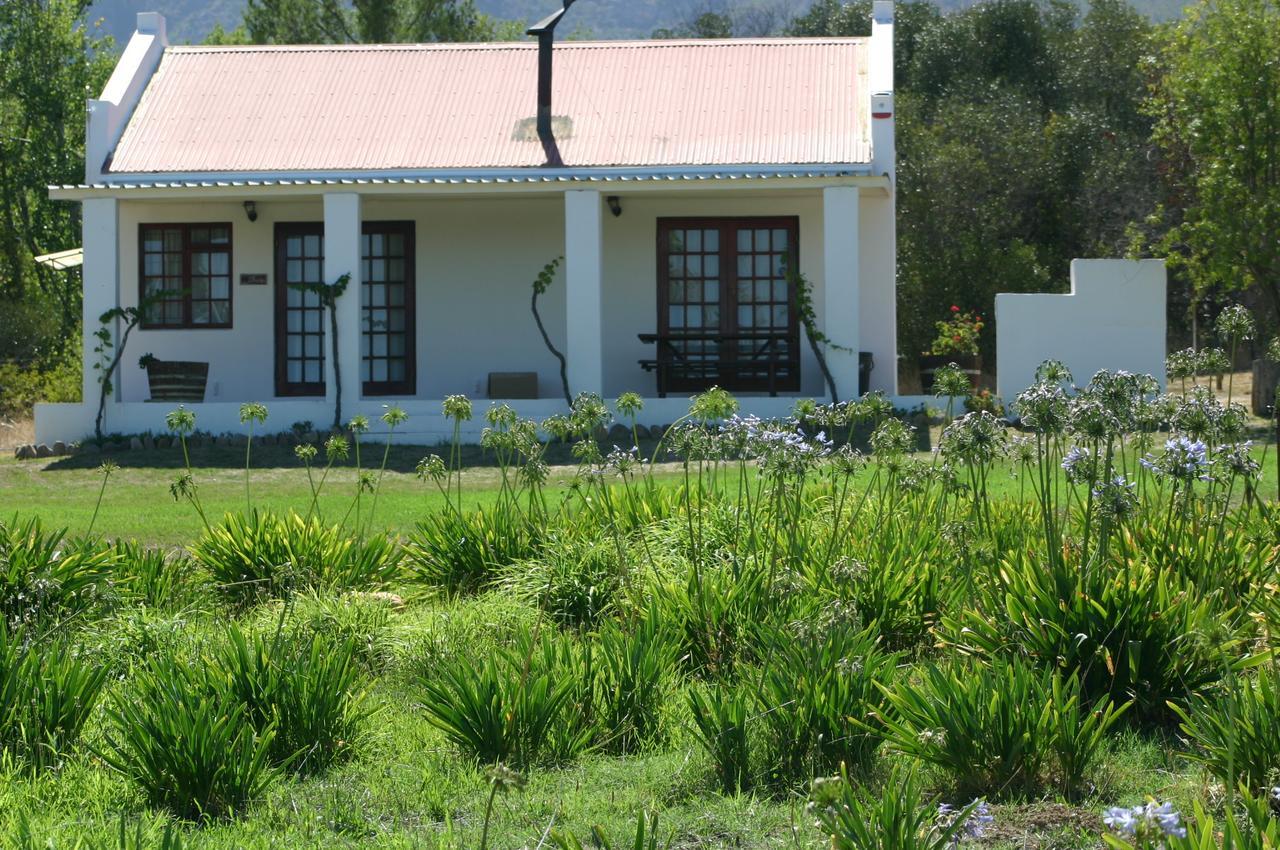 Fraaigelegen Farm - Home Of Adhara Evoo Tulbagh Εξωτερικό φωτογραφία