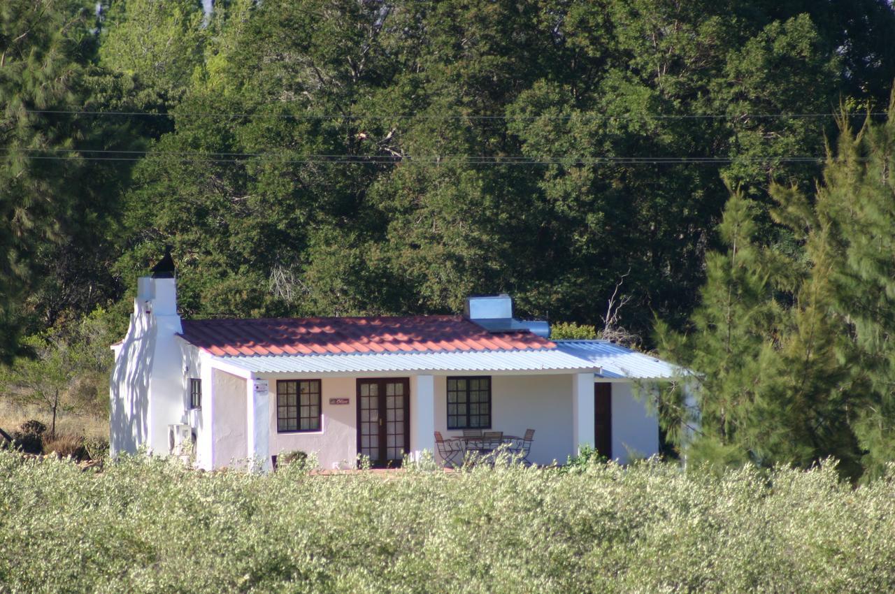 Fraaigelegen Farm - Home Of Adhara Evoo Tulbagh Εξωτερικό φωτογραφία