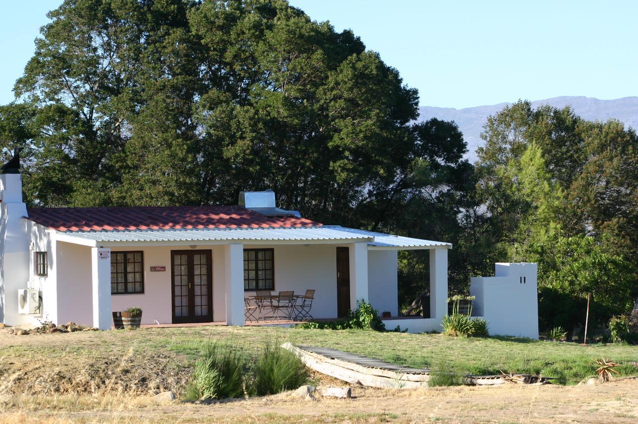 Fraaigelegen Farm - Home Of Adhara Evoo Tulbagh Εξωτερικό φωτογραφία