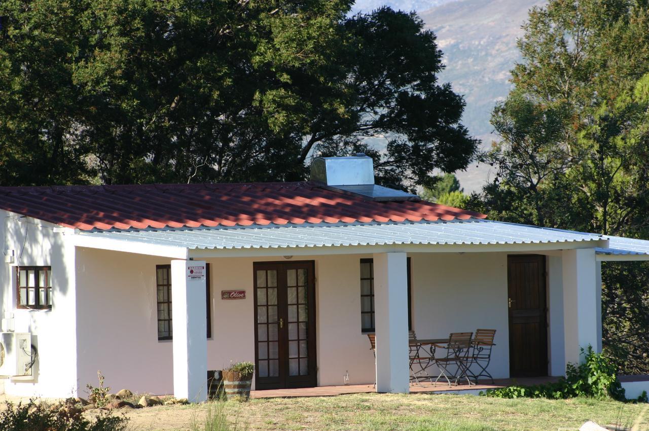 Fraaigelegen Farm - Home Of Adhara Evoo Tulbagh Εξωτερικό φωτογραφία