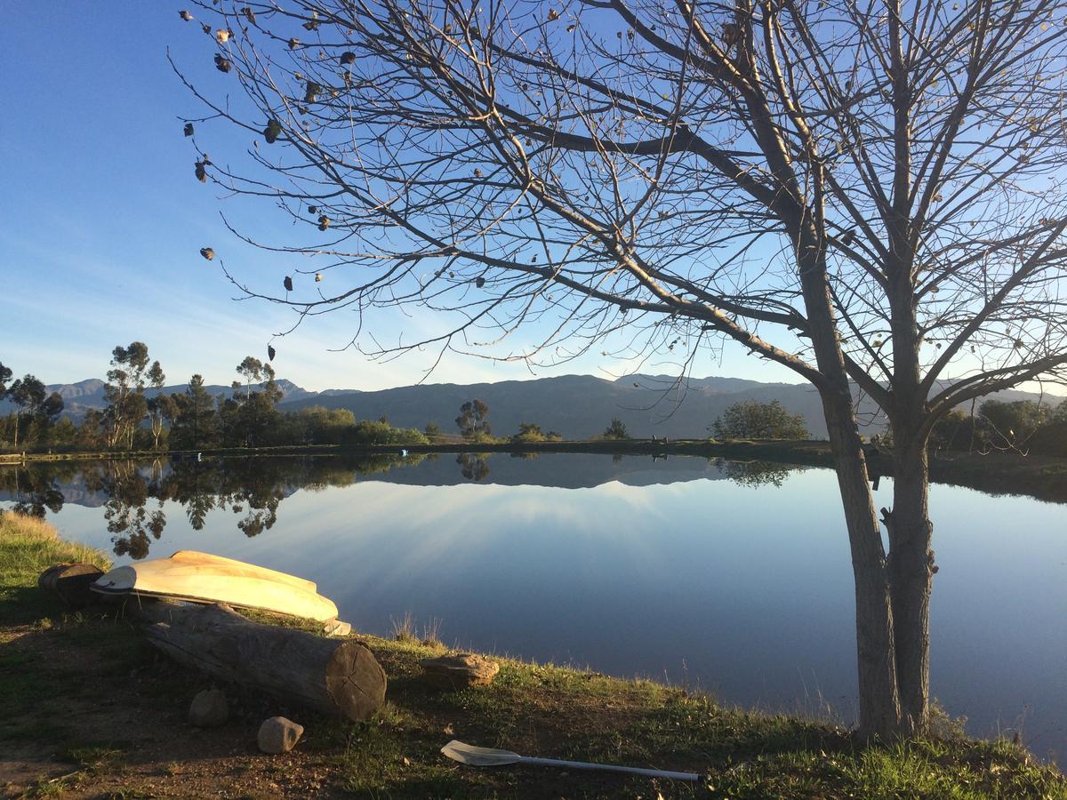 Fraaigelegen Farm - Home Of Adhara Evoo Tulbagh Εξωτερικό φωτογραφία