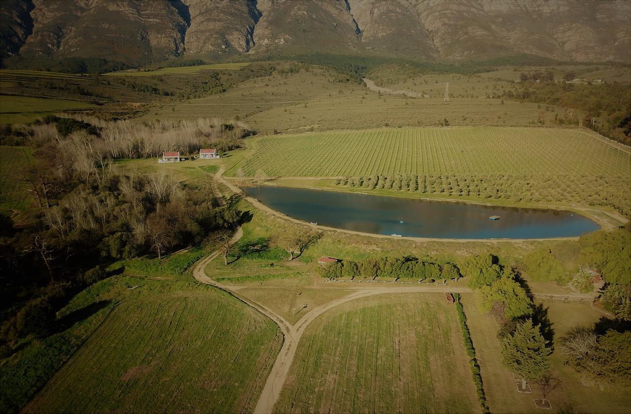 Fraaigelegen Farm - Home Of Adhara Evoo Tulbagh Εξωτερικό φωτογραφία