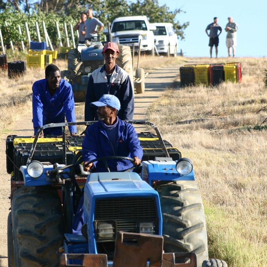 Fraaigelegen Farm - Home Of Adhara Evoo Tulbagh Εξωτερικό φωτογραφία