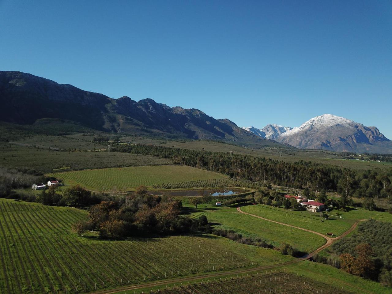 Fraaigelegen Farm - Home Of Adhara Evoo Tulbagh Εξωτερικό φωτογραφία