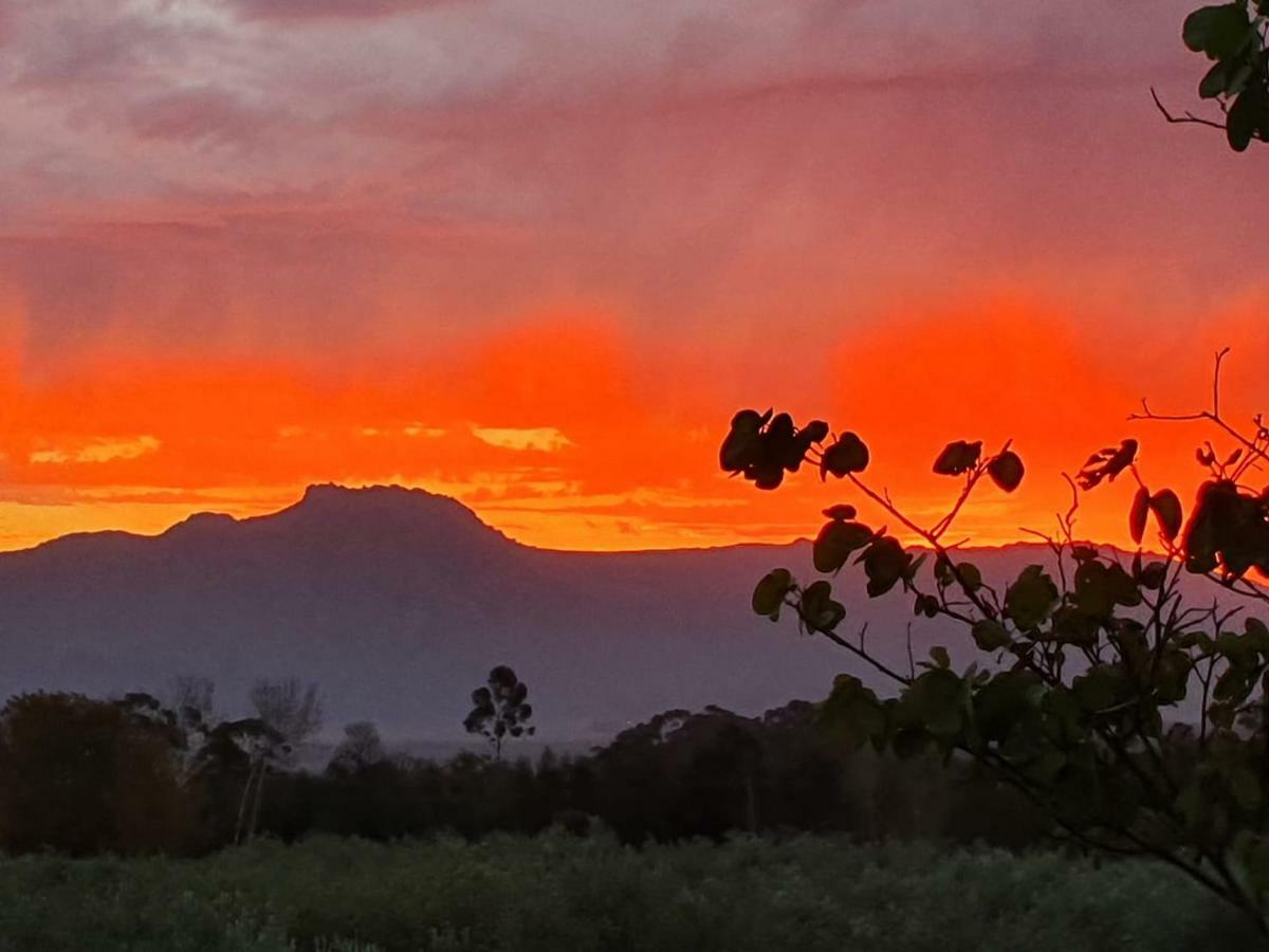 Fraaigelegen Farm - Home Of Adhara Evoo Tulbagh Εξωτερικό φωτογραφία