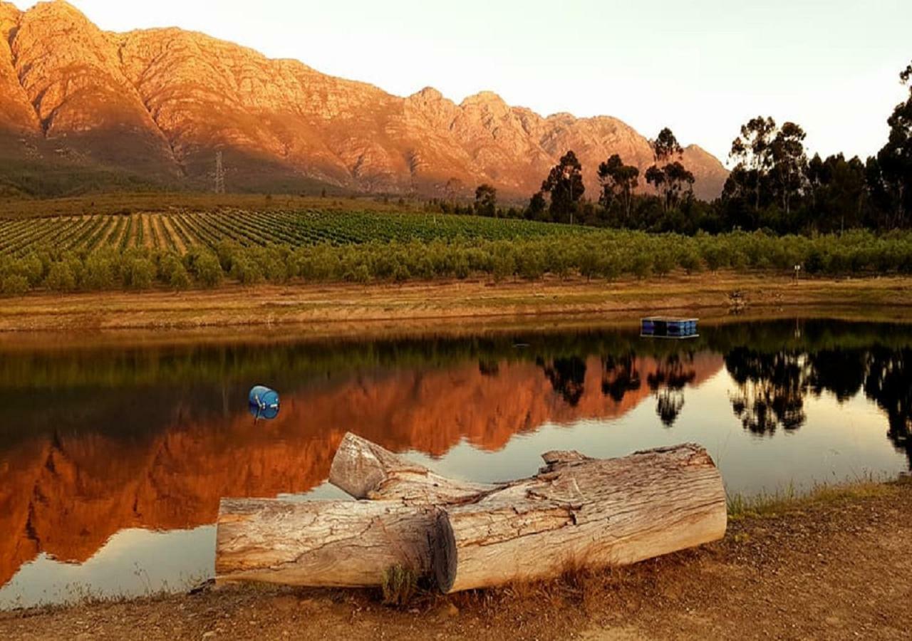 Fraaigelegen Farm - Home Of Adhara Evoo Tulbagh Εξωτερικό φωτογραφία