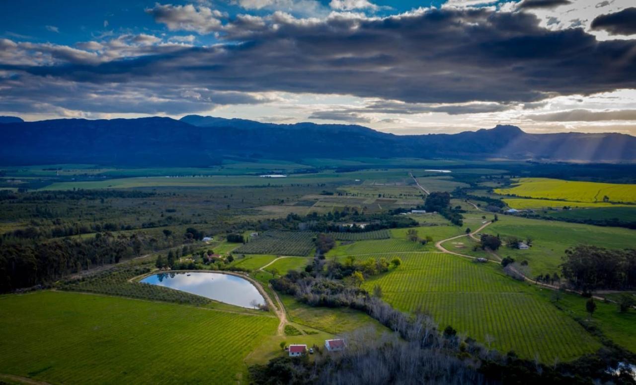 Fraaigelegen Farm - Home Of Adhara Evoo Tulbagh Εξωτερικό φωτογραφία